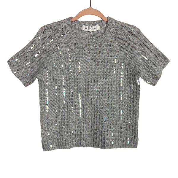 Endless Rose Grey Pastel Sequins Sweater- Size XS (sold out online) Cheap