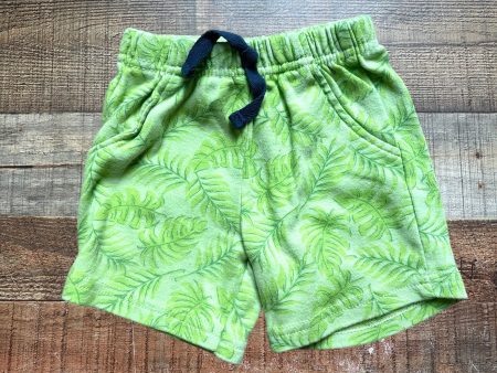 Hudson Baby Green Palm Frond Print Shorts- Size 6-9M Sale