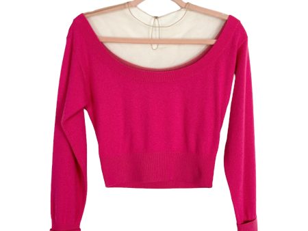 Alexander Wang Pink with Mesh Cropped Sweater- Size ~XS (see notes, sold out online) For Discount